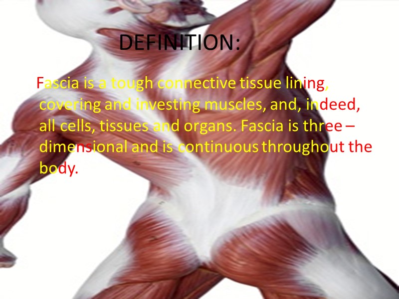 DEFINITION:    Fascia is a tough connective tissue lining, covering and investing